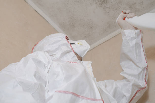 Best Mold Cleaning Services  in Wink, TX
