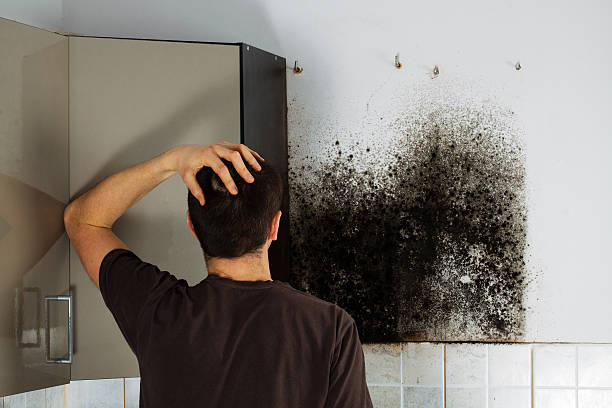 Best Mold Testing  in Wink, TX